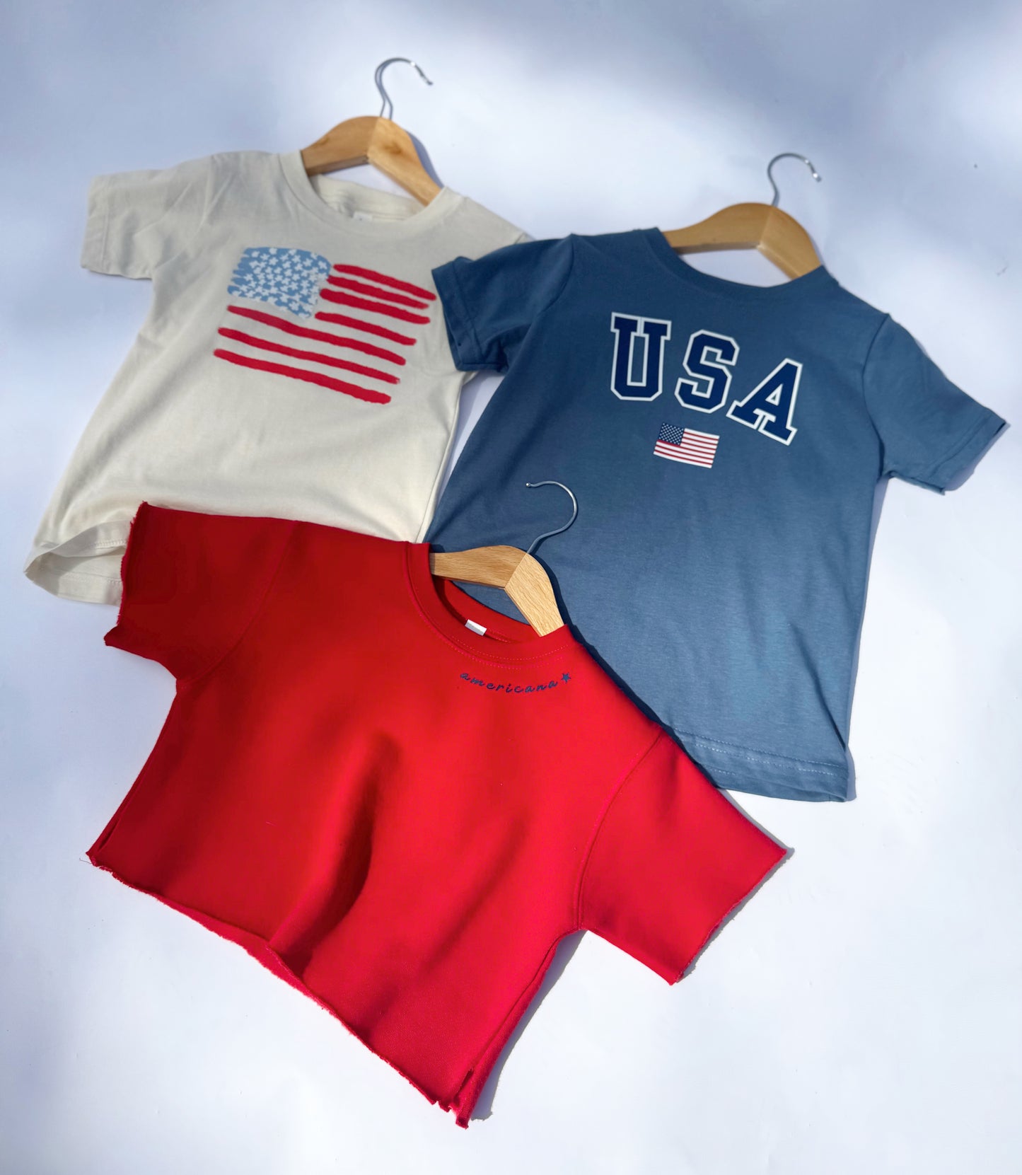 CLASSIC USA - ADULT TEE