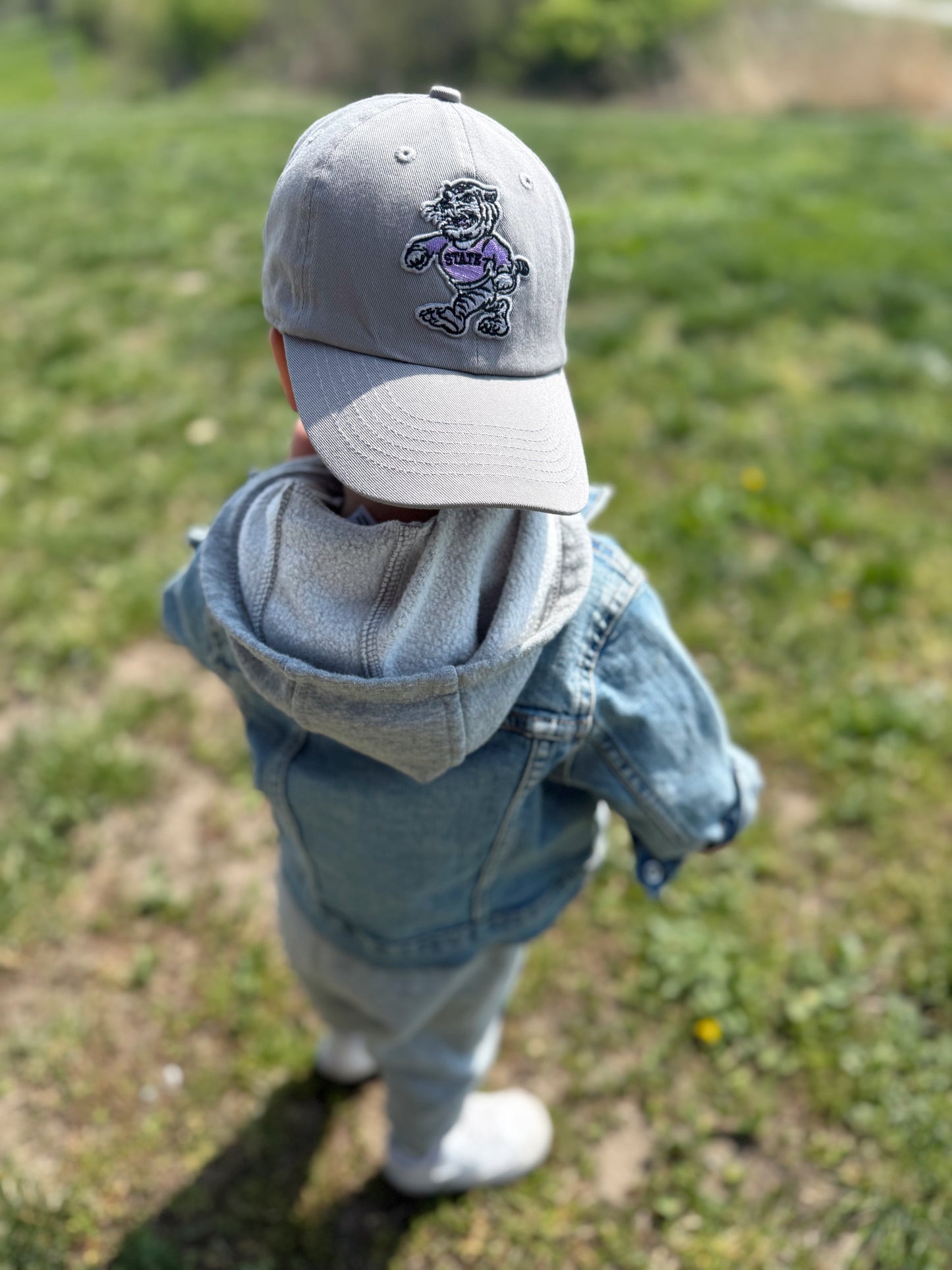 GREY VINTAGE WILLIE BASEBALL CAP
