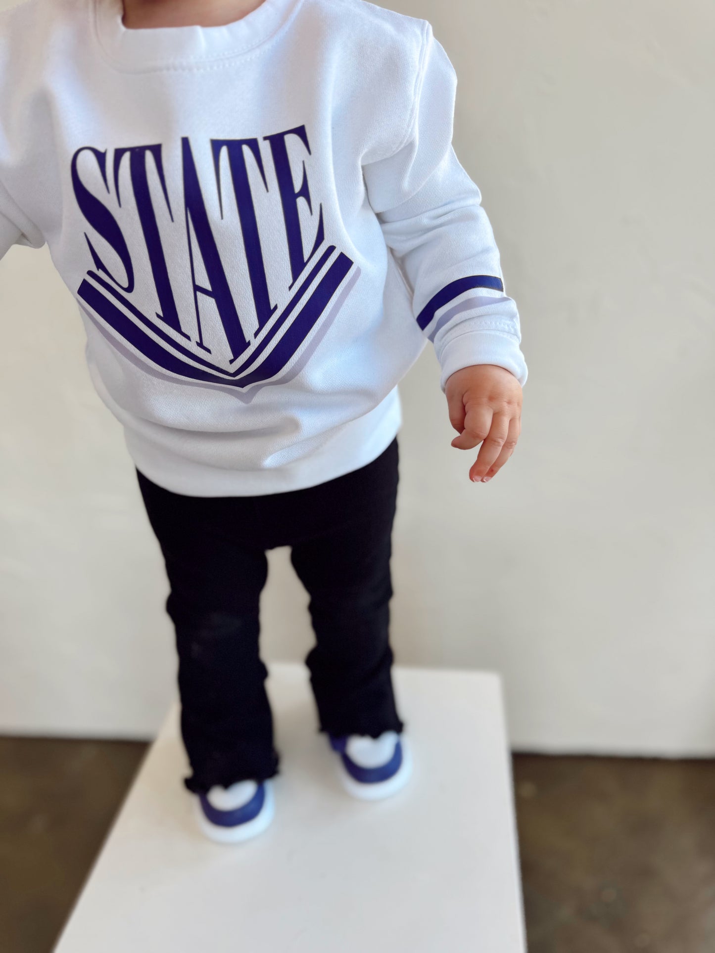 RETRO STATE- TODDER + YOUTH CREWNECK