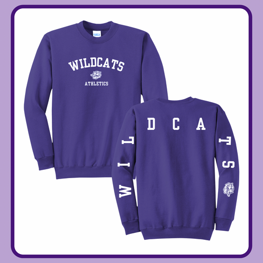 WILDCATS ATHLETICS VARSITY STYLE— YOUTH CREWNECK