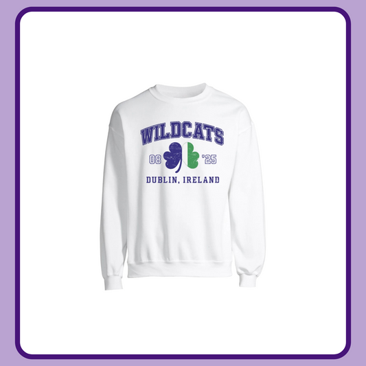 VINTAGE WILDCATS IN DUBLIN— TODDLER/YOUTH CREWNECK