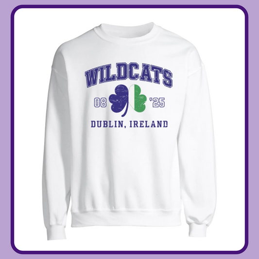 VINTAGE WILDCATS IN DUBLIN— ADULT CREWNECK